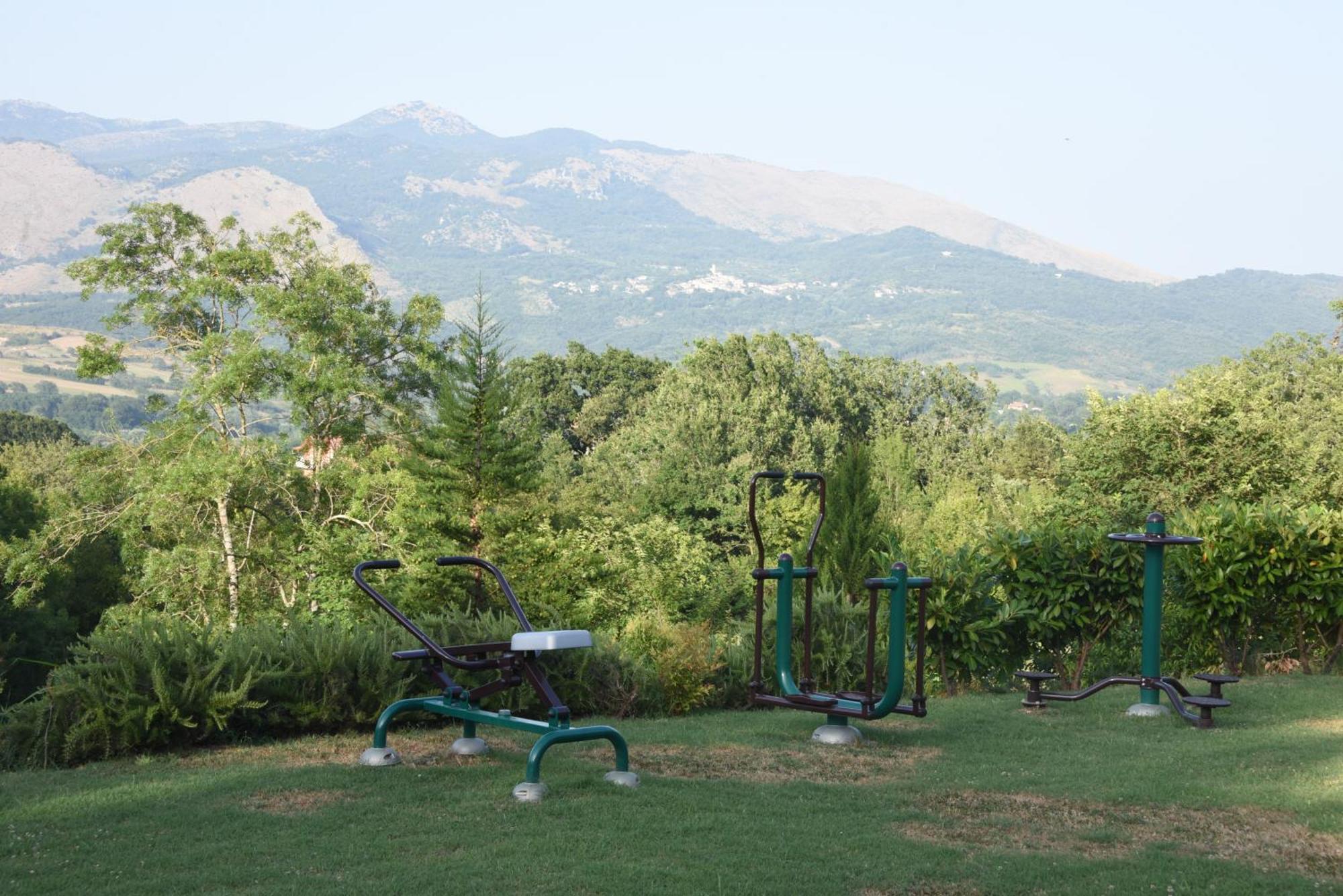 Bosco D'olmi *